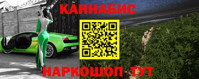 индика Кулебаки