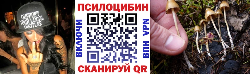 наркошоп  Томск  Галлюциногенные грибы Magic Shrooms 