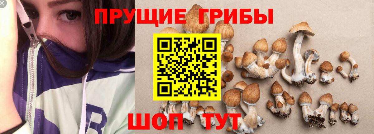 Псилоцибиновые грибы прущие грибы  Вход с VPN  Томск 